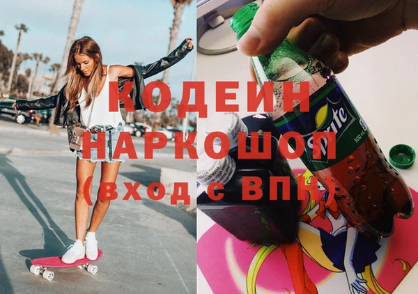 хмурый Алзамай