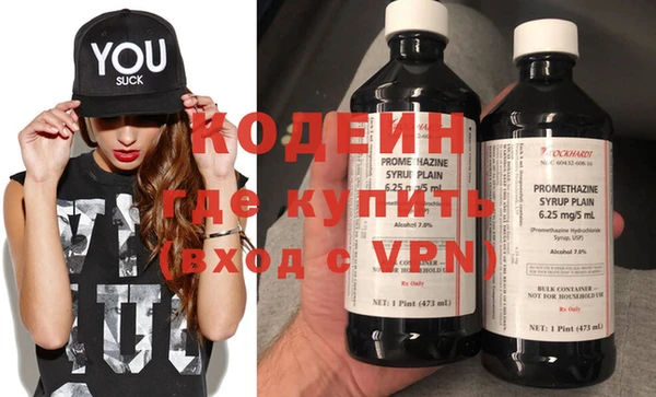 хмурый Алзамай