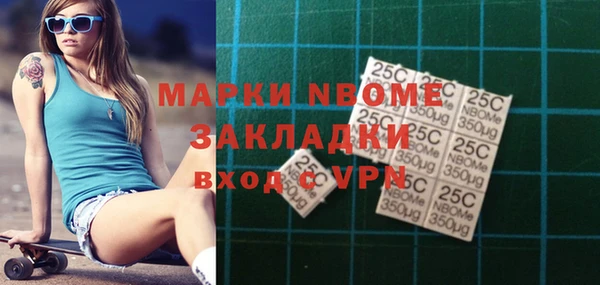 хмурый Алзамай