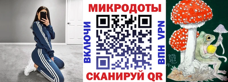 Псилоцибиновые грибы Psilocybe  продажа наркотиков  Мирный 