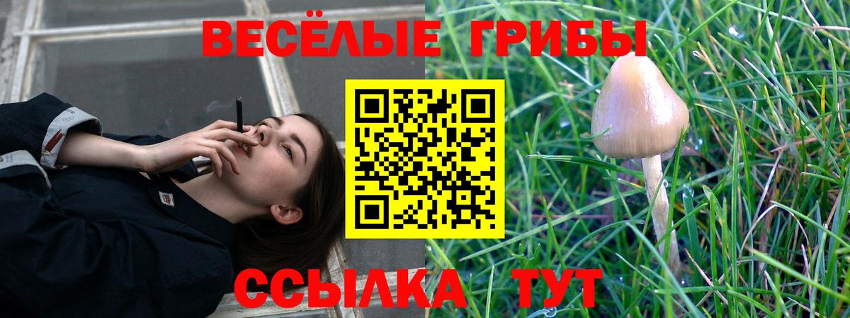 Галлюциногенные грибы мухоморы Мирный