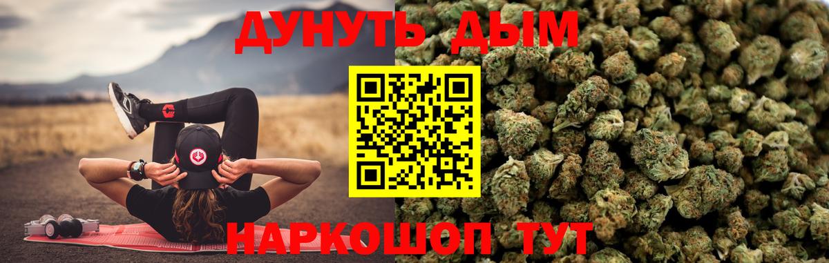 Канабис планчик Мирный